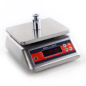 Balance inox SS 2