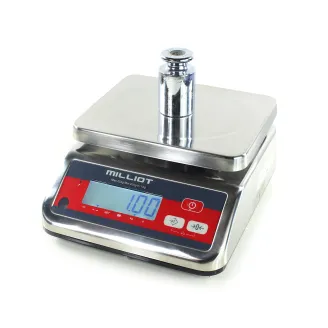 Balance inox homologuée 2