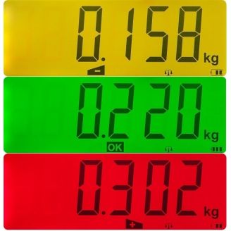 Pèse palette Si10 PL avec interface RS232 2