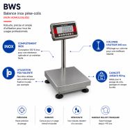 Balance inox BWS