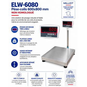 Pèse-colis ELW-6080