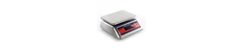 balance inox, balance entièrement inox
